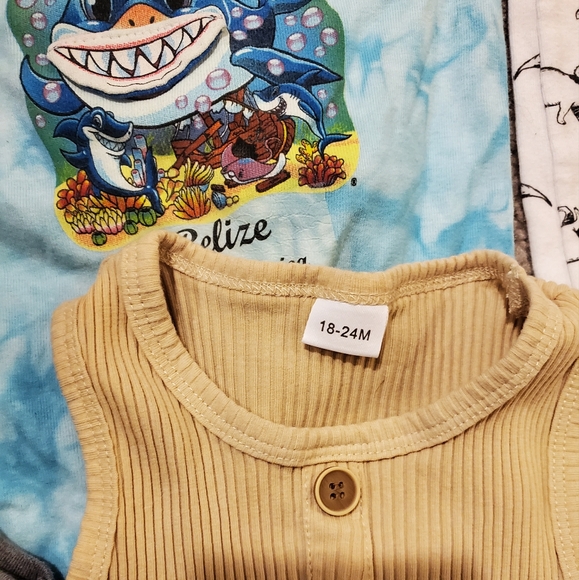 Baby Clothing Bundle - Striped, Tie-Dye, Dinosaur, Surfboard, Beige - Picture 4 of 4